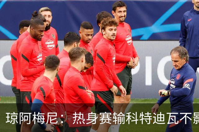 琼阿梅尼：热身赛输科特迪瓦不影响法国，可以说是一次小小的提醒